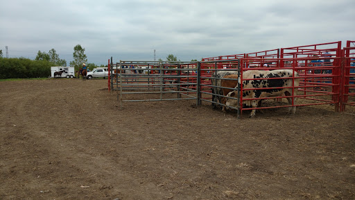 Outdoor Sports Store «Ho Chunk Sports and Expo Center», reviews and photos, 10 Southland Dr, Lynwood, IL 60411, USA