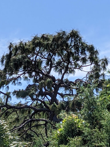 Golf Course «Tarpon Springs Golf Course», reviews and photos, 1310 S Pinellas Ave, Tarpon Springs, FL 34689, USA