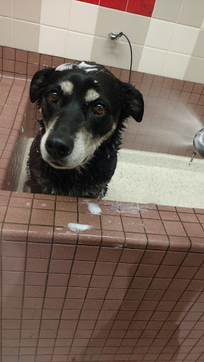 Pet Supply Store «Pet Food Express», reviews and photos, 265 Davis St, San Leandro, CA 94577, USA