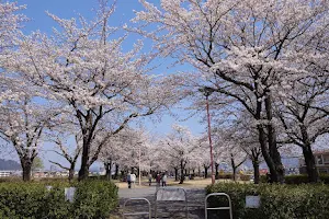 Arakawa Sakura-zutsumi Park image
