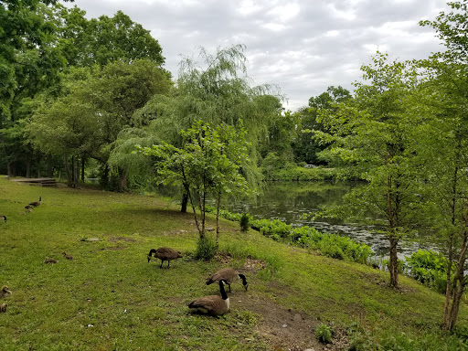 Park «Willson’s Woods Park», reviews and photos, 8 Bradford Rd, Mt Vernon, NY 10553, USA