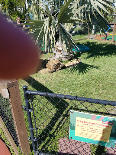 Miniature Golf Course «Golf N Gator», reviews and photos, 6355 N Atlantic Ave, Cape Canaveral, FL 32920, USA