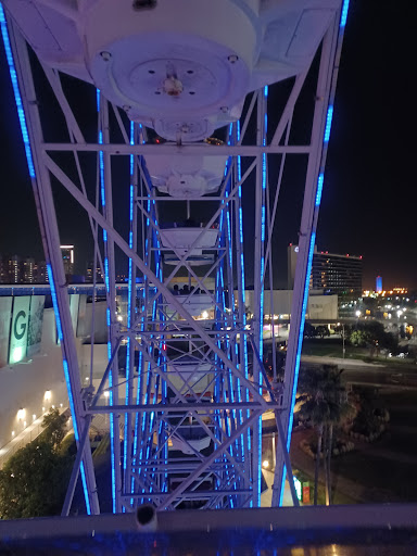 The Pike Ferris Wheel