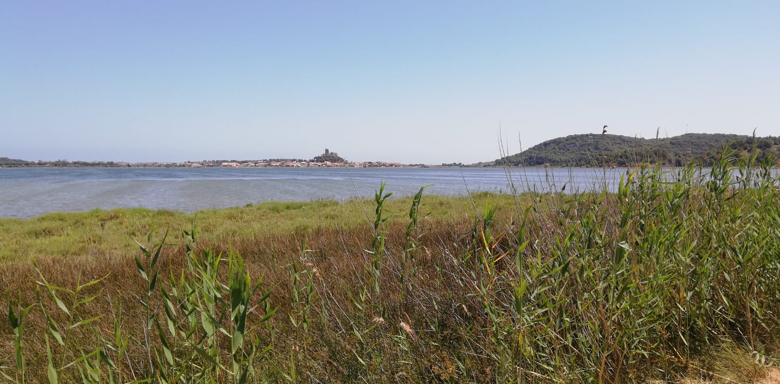 Photo n° 1 de l'avis de Véronique.a fait le 10/07/2023 à 07:46