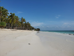 Foto di Pingwe Beach con costa lunga e dritta