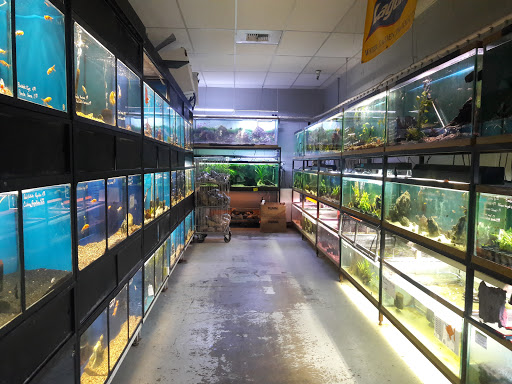 Pet Store «Sierra Fish and Pets», reviews and photos, 601 S Grady Way Suite M, Renton, WA 98057, USA