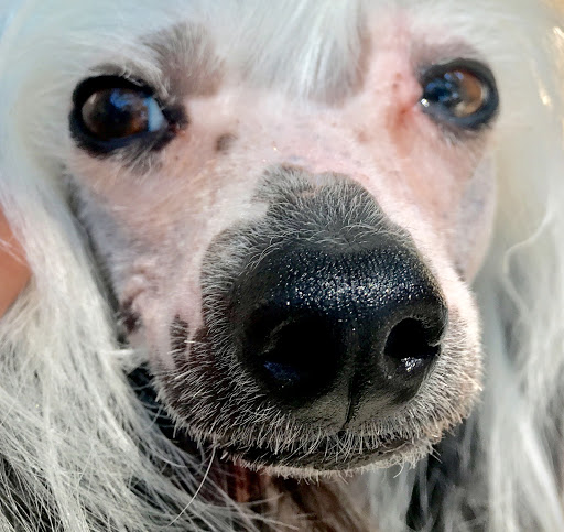 Movie Theater «Park Plaza Cinema», reviews and photos, 33 Office Park Rd #201, Hilton Head Island, SC 29928, USA