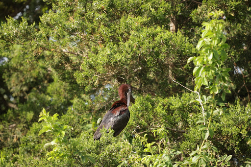  «Ocean City Welcome Center», reviews and photos, 300 W 9th St, Ocean City, NJ 08226, USA