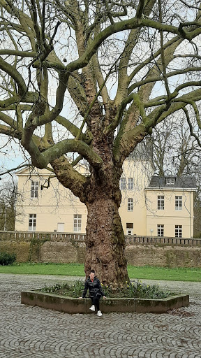 Eller Schloss Park