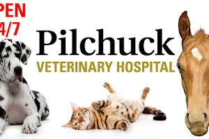 Pilchuck Veterinary Hospital, A Thrive Pet Healthcare Partner image