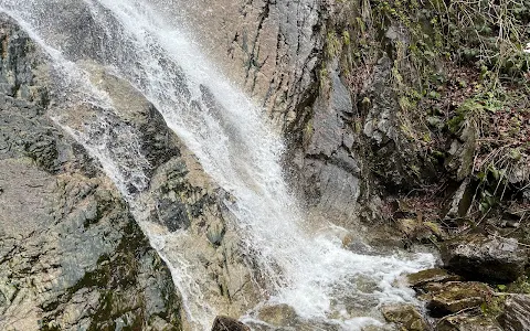 Cascada Mierlei image