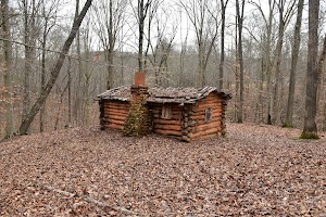 Explore Park - photo 12