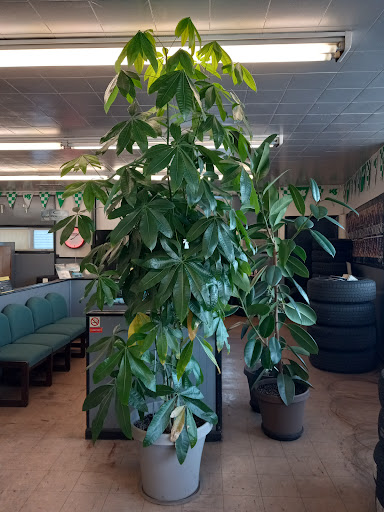 Auto Repair Shop «V & R Tire & Auto Repair», reviews and photos, 4903 Main St, Lisle, IL 60532, USA