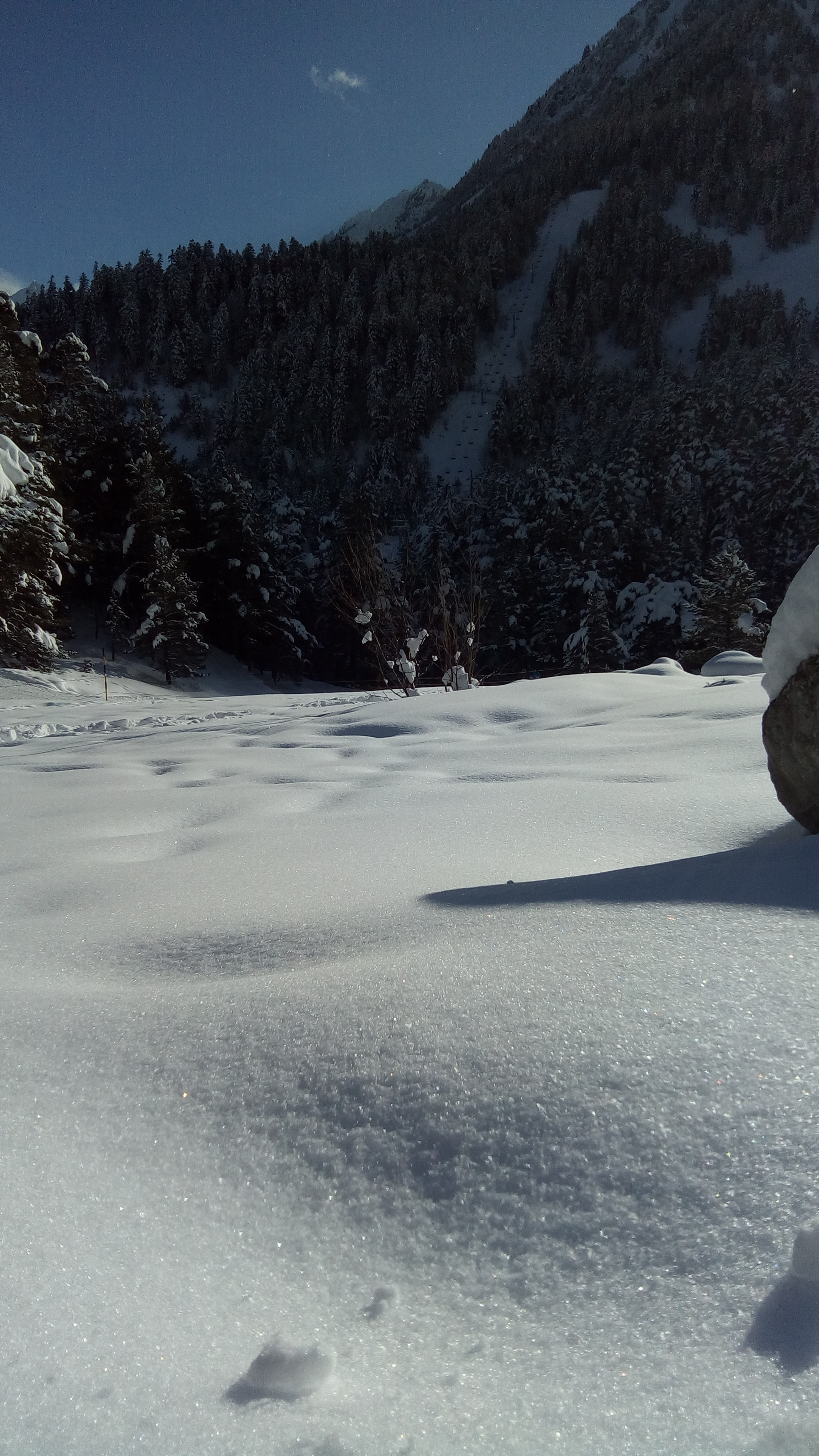 Photo n° 7 de l'avis de Yann.r fait le 07/02/2018 à 20:07
