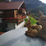 Photo n°6 de l'avis de Silvia.a fait le 18/11/2019 à 21:29 sur le  Gasthof Meierei à Welschnofen