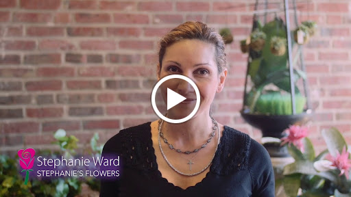 Florist «Stephanies Flowers Of Chestnut Hill», reviews and photos, 1004 W Roxbury Pkwy, Chestnut Hill, MA 02467, USA