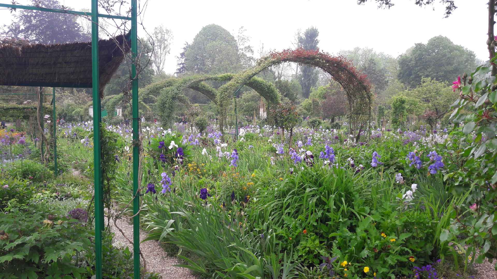 Photo n° 7 de l'avis de Olive.. fait le 19/05/2019 à 15:09