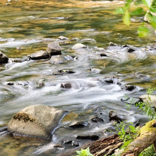 Historical Place «Jerusalem Mill», reviews and photos, 2813 Jerusalem Rd, Kingsville, MD 21087, USA