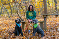 J Eubanks Photography - Photo 6 - Car repair in , Elkhart