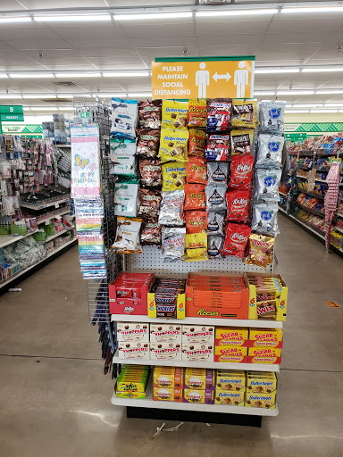 Dollar Store «Dollar Tree», reviews and photos, 534 10th St e, Floresville, TX 78114, USA