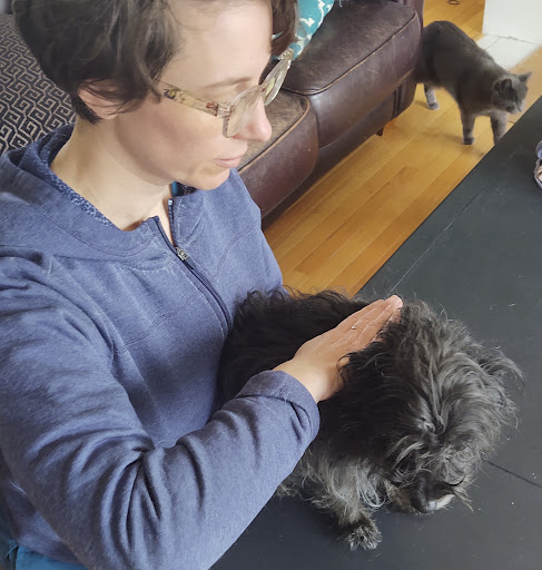 Hello Harmony Vet image