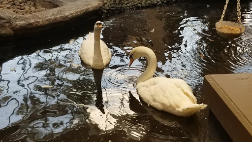 Hotel «Embassy Suites by Hilton Palm Beach Gardens PGA Boulevard», reviews and photos, 4350 PGA Boulevard, Palm Beach Gardens, FL 33410, USA