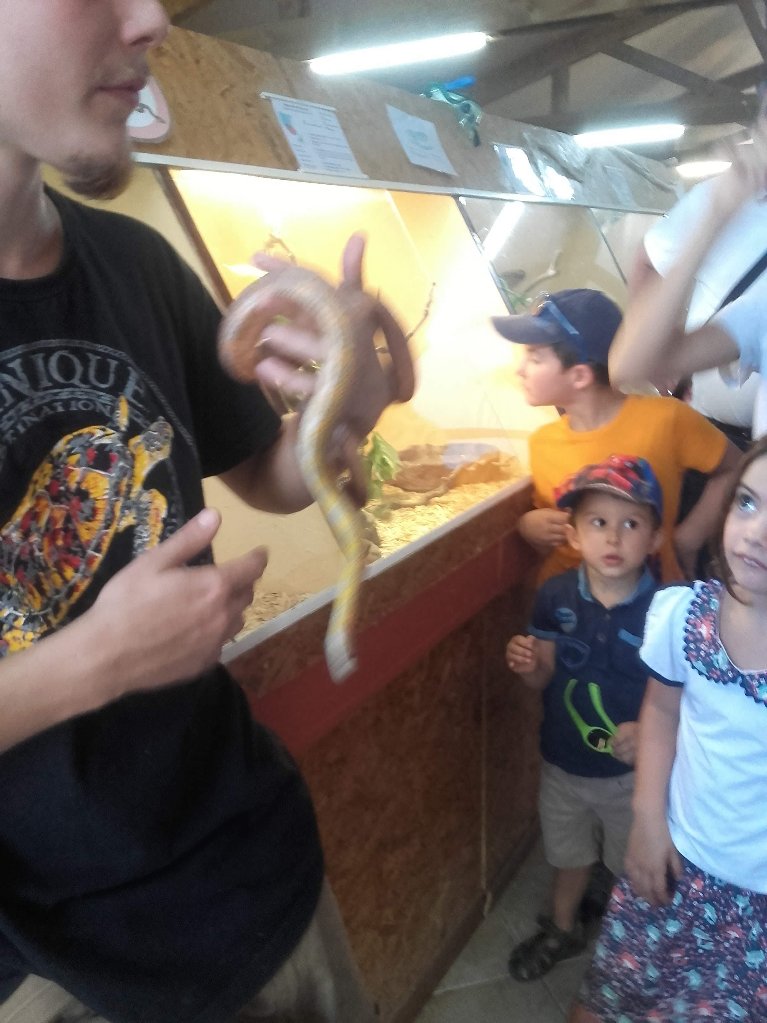 Photo n° 2 de l'avis de Sabrina.a fait le 24/08/2019 à 09:26