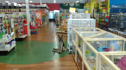 Pet Supply Store «Pet Supermarket», reviews and photos, 6050 Memorial Dr, Stone Mountain, GA 30083, USA