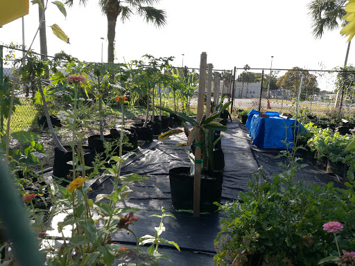 Park «Fairway Park», reviews and photos, 3700 Largo Dr, Miramar, FL 33023, USA