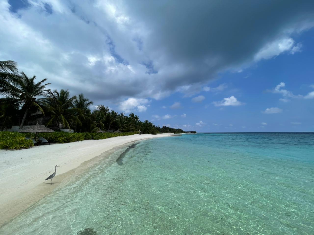 Zdjęcie Ozen Reserve Bolifushi z powierzchnią turkusowa czysta woda