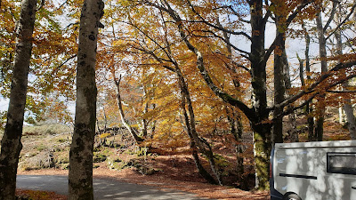 Source de l'Agoût à Castanet-le-Haut