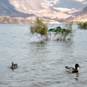 Personal watercraft beach - review photo