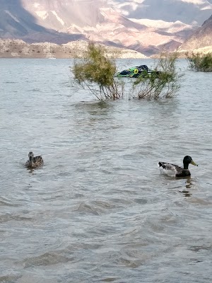 Personal watercraft beach - photo 14
