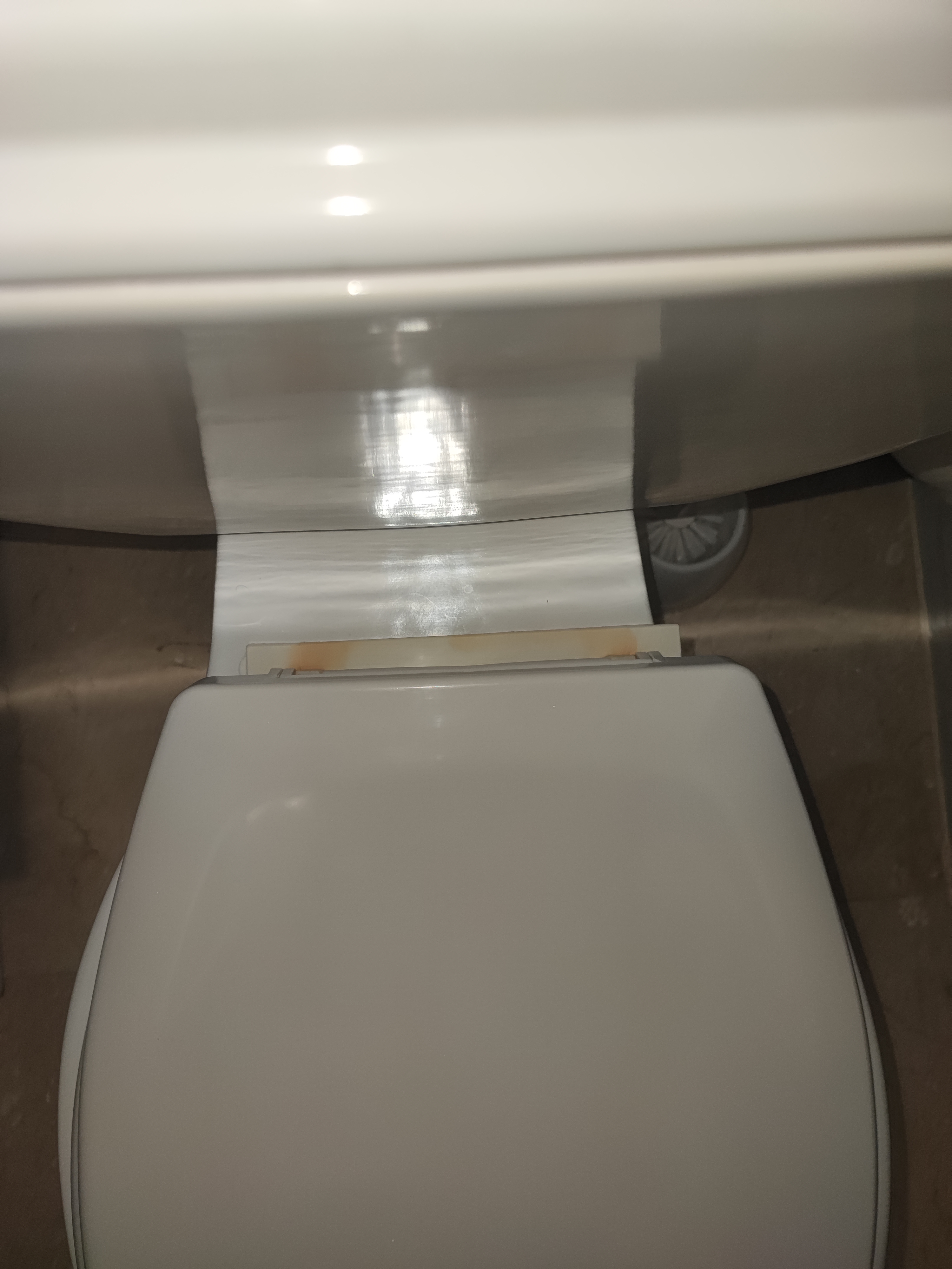 Photo n° 1 de l'avis de Narcisse. fait le 10/05/2023 à 18:23