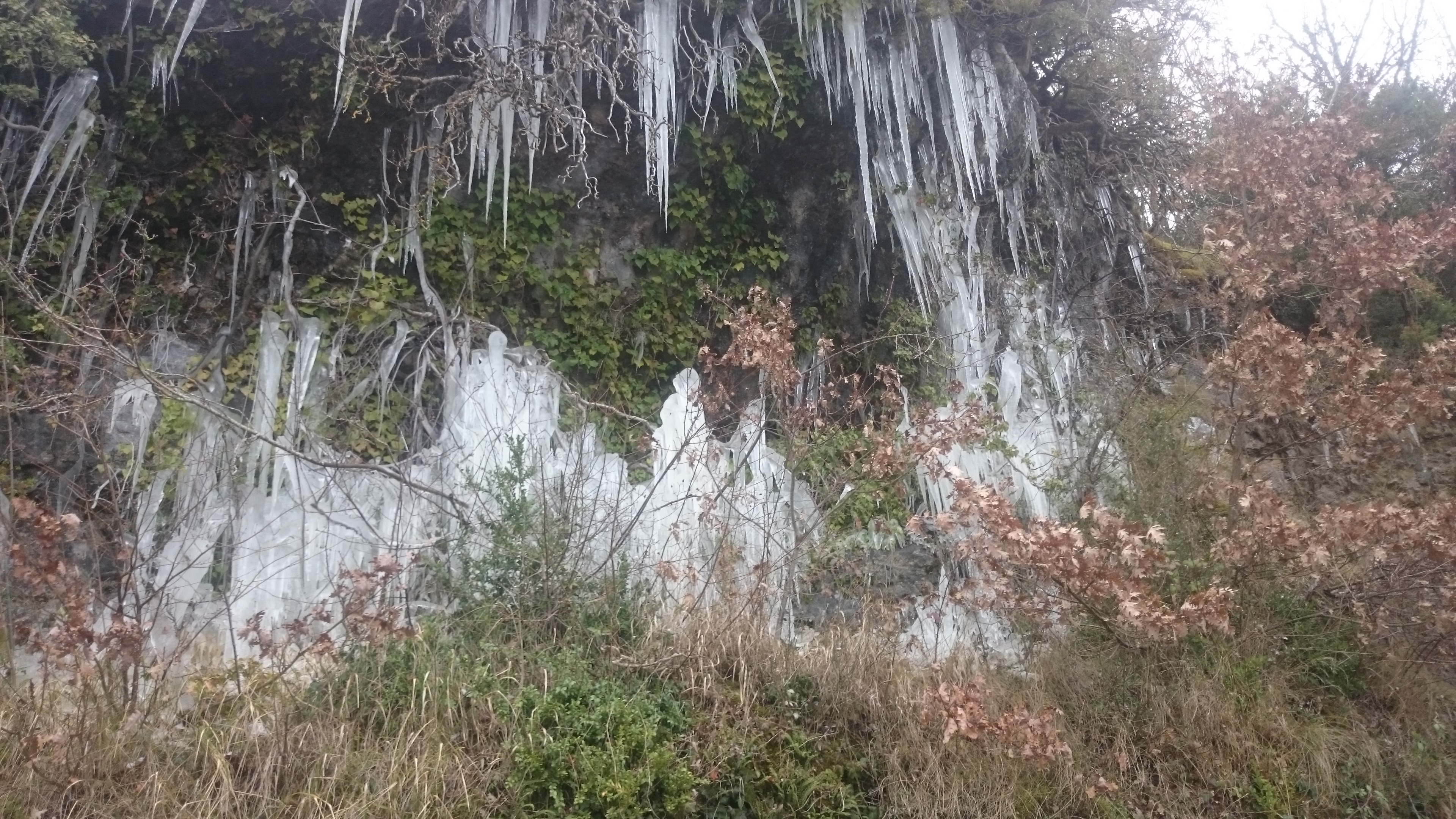 Photo n° 2 de l'avis de Gros.a fait le 11/02/2018 à 22:56