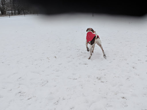 Dog Park «Carol Stream Bark Park», reviews and photos, 280 Kuhn Rd, Carol Stream, IL 60188, USA