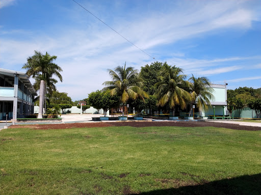 School Andrés Quintana Roo