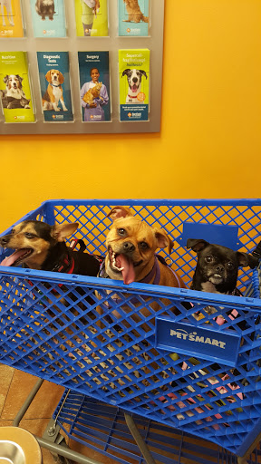 Pet Supply Store «PetSmart», reviews and photos, 1700 Fruitville Pike, Lancaster, PA 17601, USA