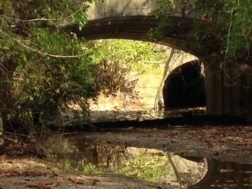 Golf Course «Franklin Golf Course», reviews and photos, 180 N Main St, Franklin, OH 45005, USA