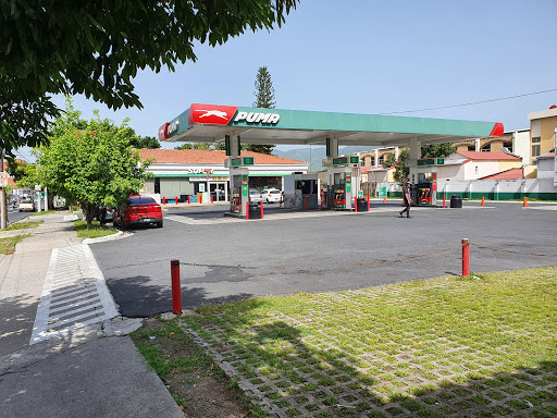 Gasolinera Puma