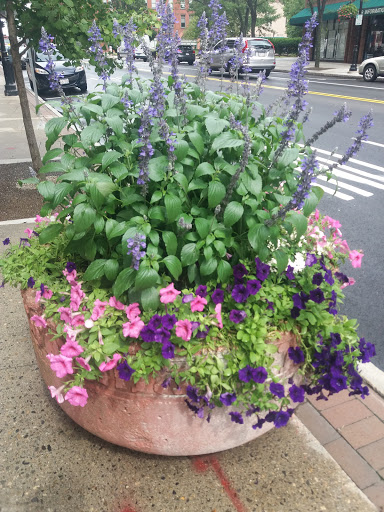 Convention Center «MassMutual Center», reviews and photos, 1277 Main St, Springfield, MA 01103, USA