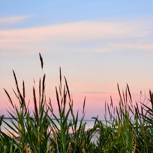 Park «Morse Park», reviews and photos, Morse Ave, West Haven, CT 06516, USA