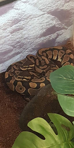 Pet Supply Store «Petco Animal Supplies», reviews and photos, 1209 New Brunswick Ave, Phillipsburg, NJ 08865, USA