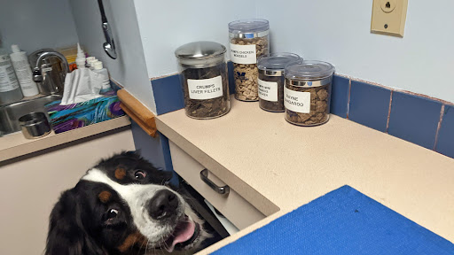 Fort Langley Veterinary Clinic image