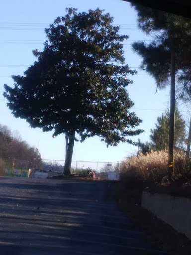 Storage Facility «Extra Space Storage», reviews and photos, 550 Peters Creek Pkwy, Winston-Salem, NC 27101, USA