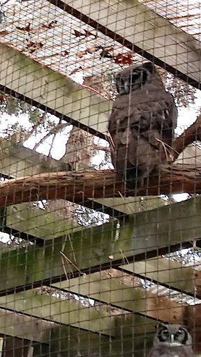 Recreation Center «Clayton County Parks & Recreation», reviews and photos, 2300 State Highway 138, Jonesboro, GA 30236, USA