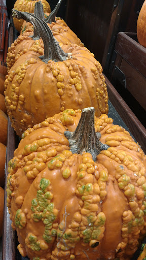 Grocery Store «Ralphs», reviews and photos, 101 W Los Angeles Ave, Moorpark, CA 93021, USA