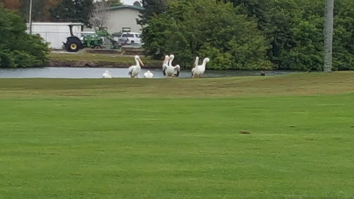 Golf Club «Manatee County Golf Course», reviews and photos, 6415 53rd Ave W, Bradenton, FL 34210, USA