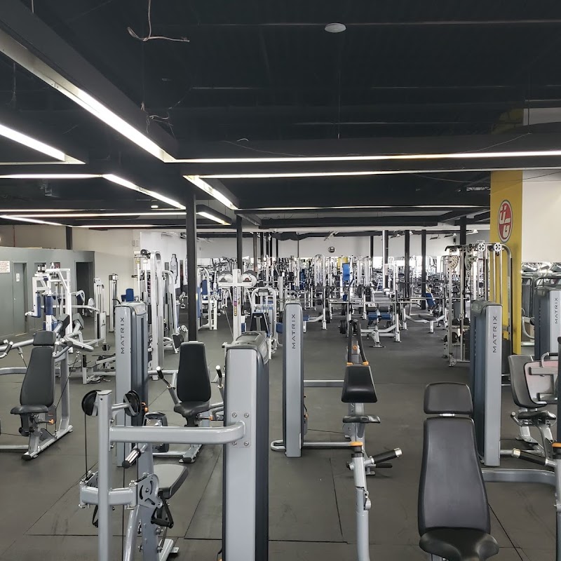 United Gym