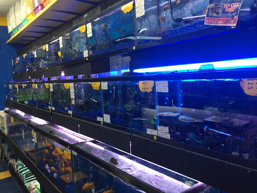 Pet Supply Store «Petland Discounts - Brighton Beach», reviews and photos, 416 Brighton Beach Ave, Brooklyn, NY 11235, USA